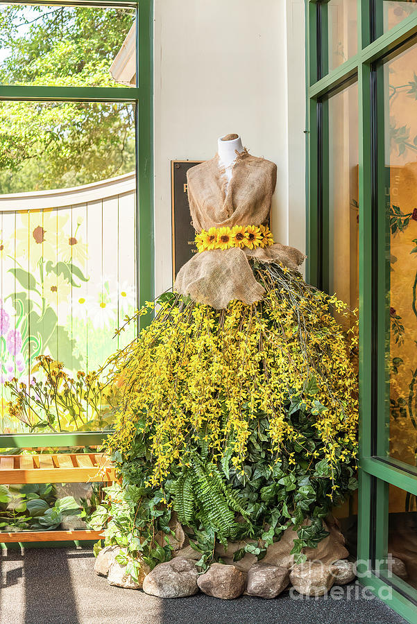 The Forsythia Dress Photograph by Lorraine Cosgrove