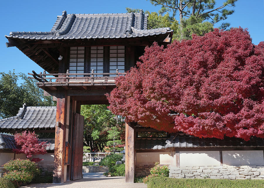 The Fort worth Japanese Garden Facade 2019 by Rospotte Photography The Fort worth Japanese Garden Facade 2019 by Rospotte Photography