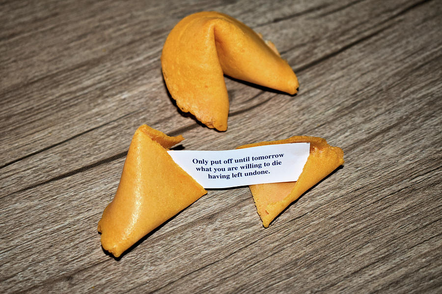 The Fortune Cookie Photograph by Kathy K McClellan