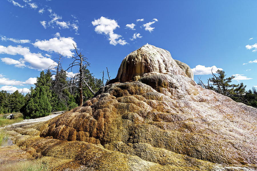 The Fountain -- Orange Spring Mound in Yellowstone National Park, Wyoming Photograph by Darin Volpe