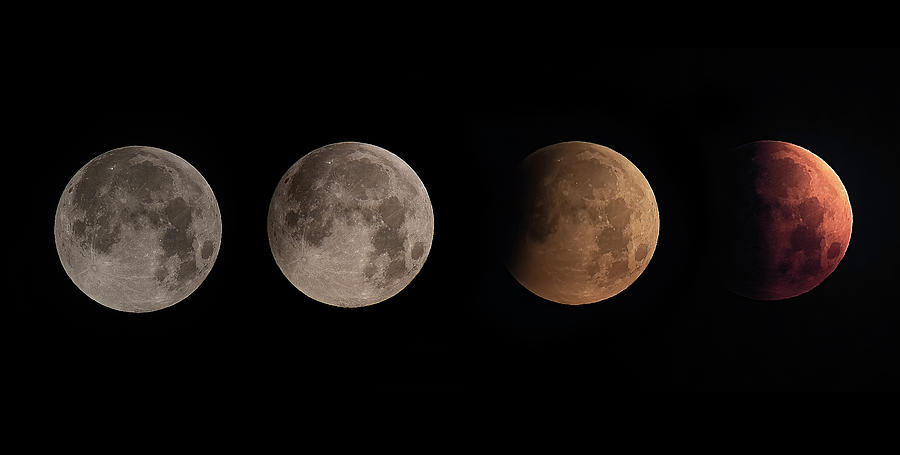 The Four Key Moments of the 2021 Eclipse Photograph by Steve Rich