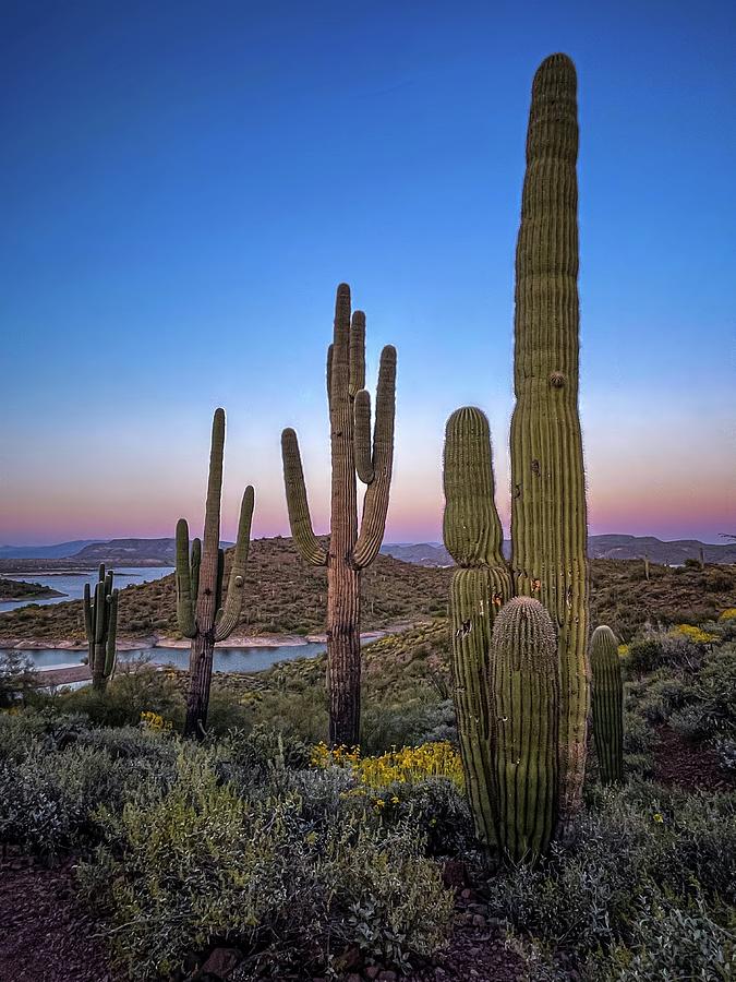 The Four Sisters Photograph by Linda Unger - Fine Art America