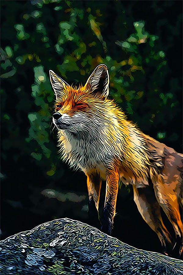 The Fox Digital Art by Curt Freeman