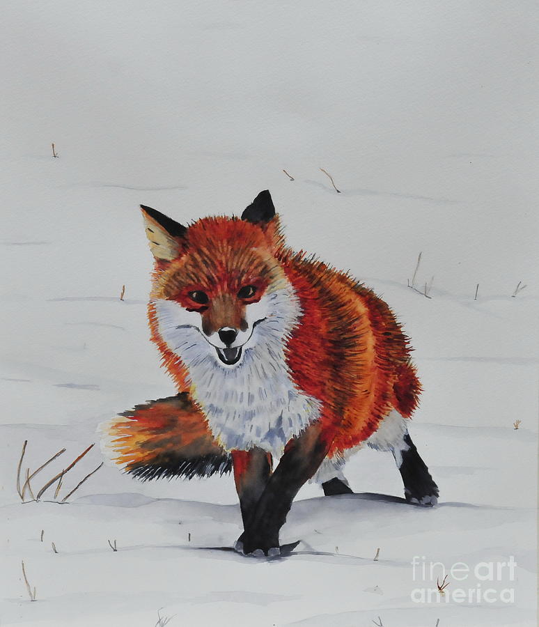The Fox in Winter Painting by John W Walker