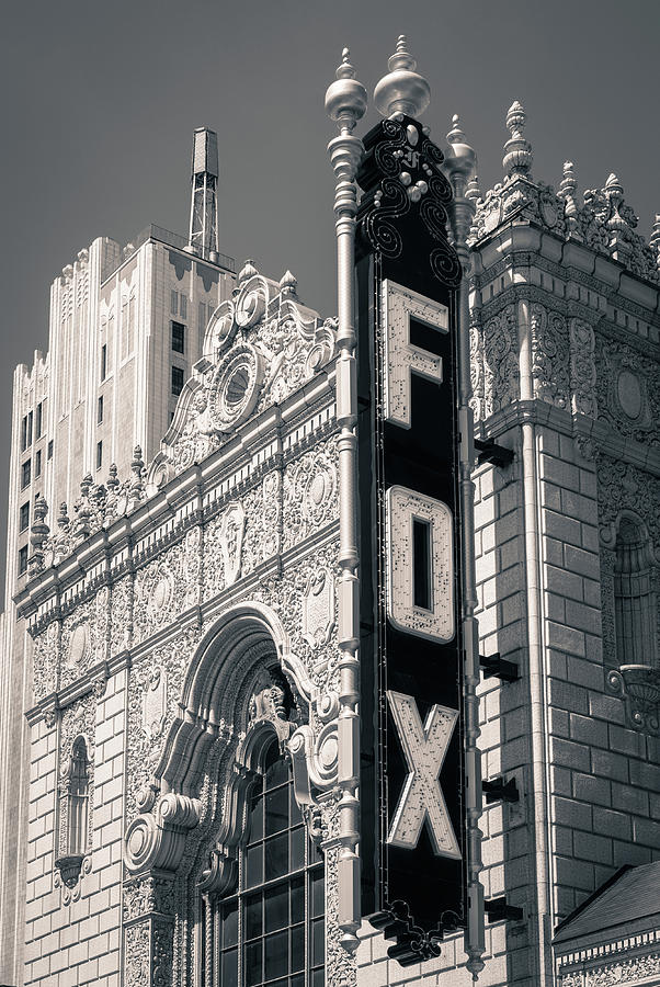 The Fox Photograph by Scott Rackers