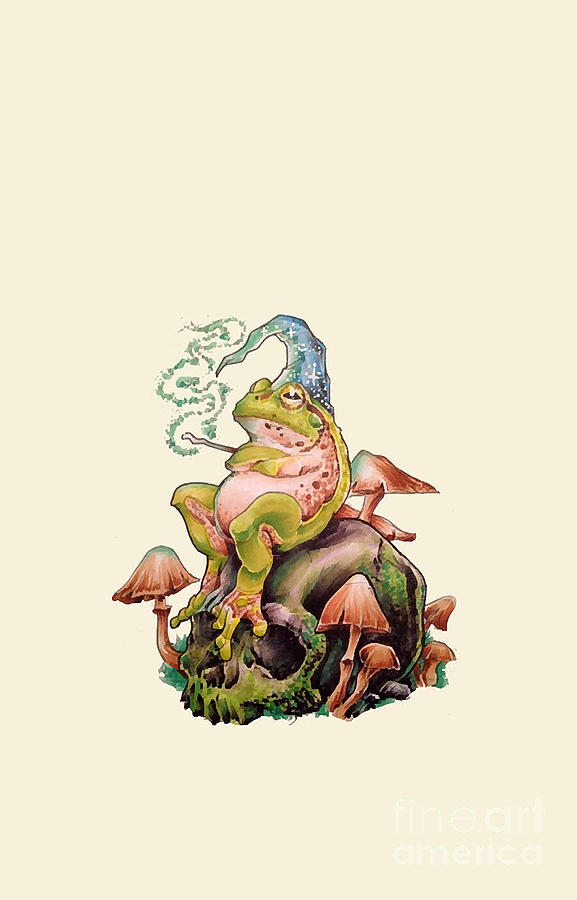 The Frog Wizard Digital Art by Burnoyw Childkwn - Fine Art America