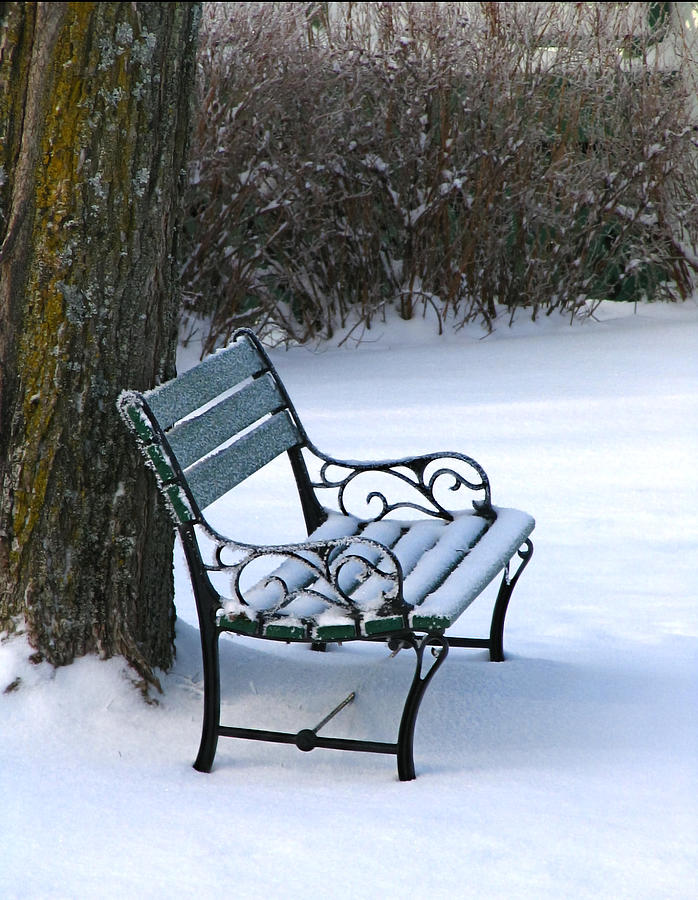 The Frosty Bench Photograph by Maggie Terlecki