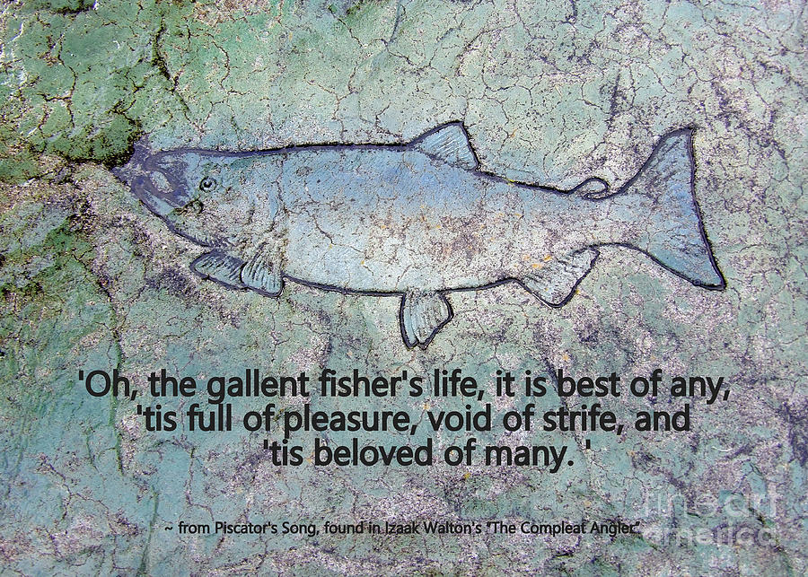 The Gallant Fishers Life Photograph by Linda Vanoudenhaegen