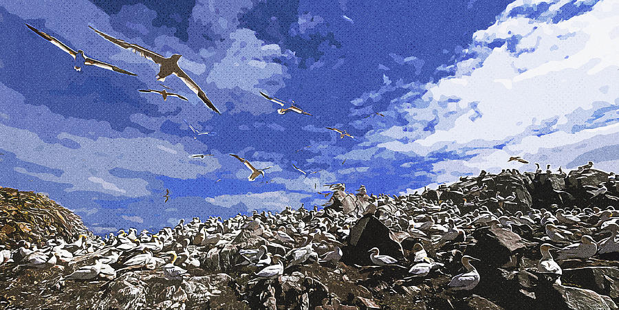 The Gannet Colony  _4, Vintage Travel Poster By Asar Studios Painting