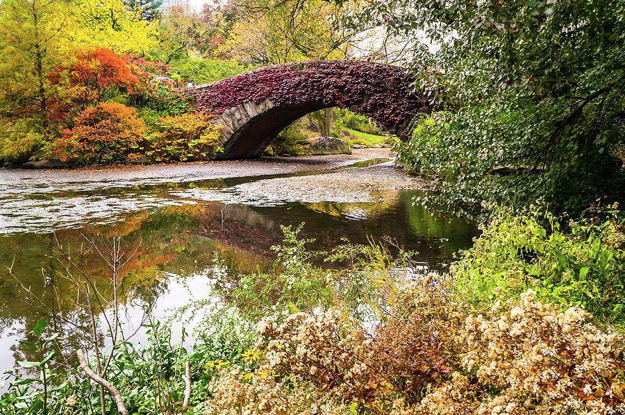 New York City Photograph - The Gapstow Bridge in Central Park in New York City by Ellie Teramoto