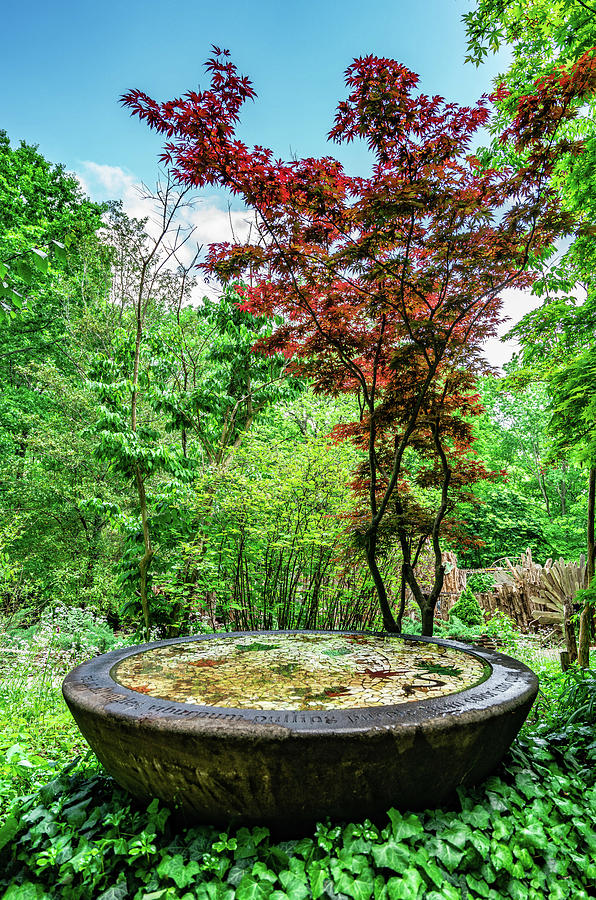 The Garden At The Cheekwood Estate and Gardens Nashville Tennessee Photograph by Dave Morgan