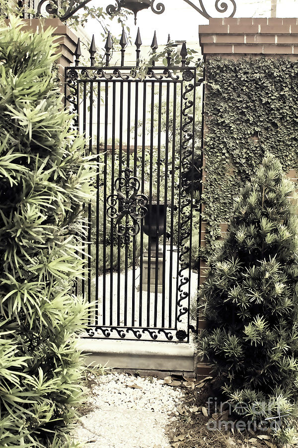 The Garden Entrance Photograph by Theresa Fairchild