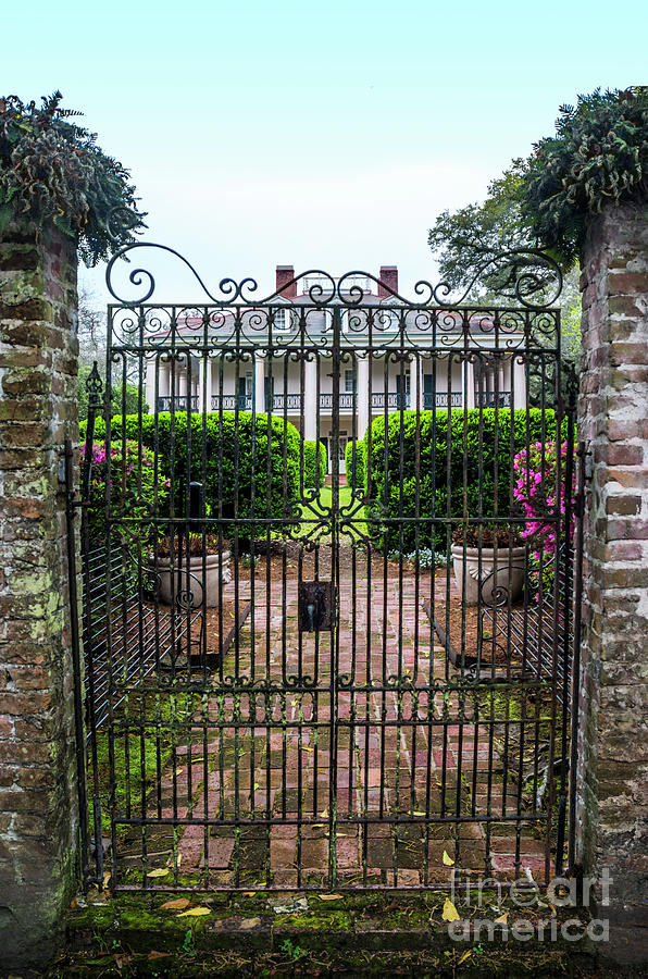 The Garden Gate Photograph by Tim Mulina