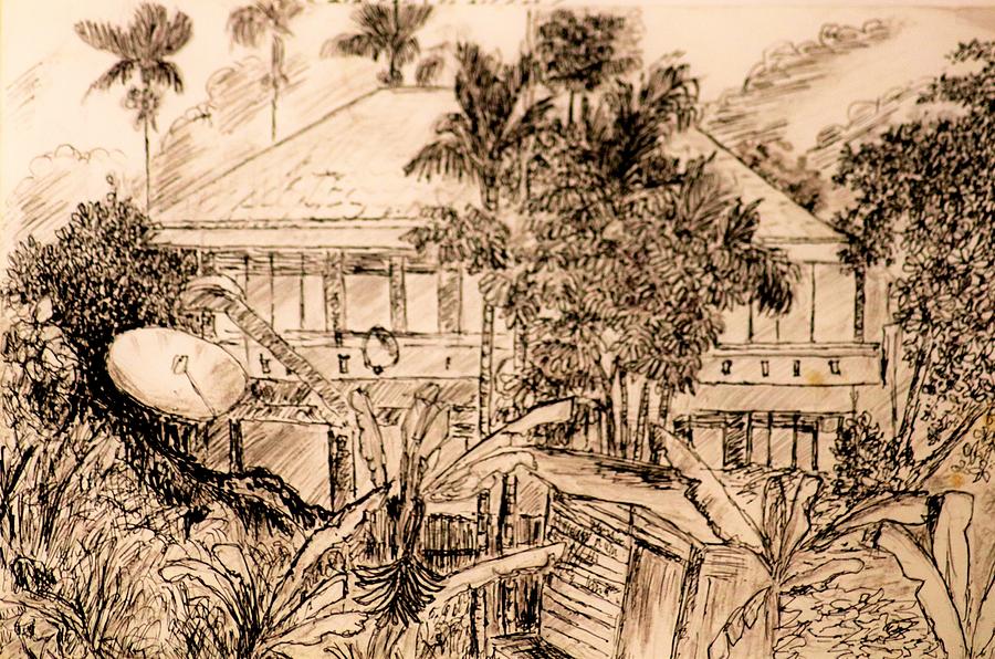 The Garden In Between Houses Drawing by Jason Sentuf