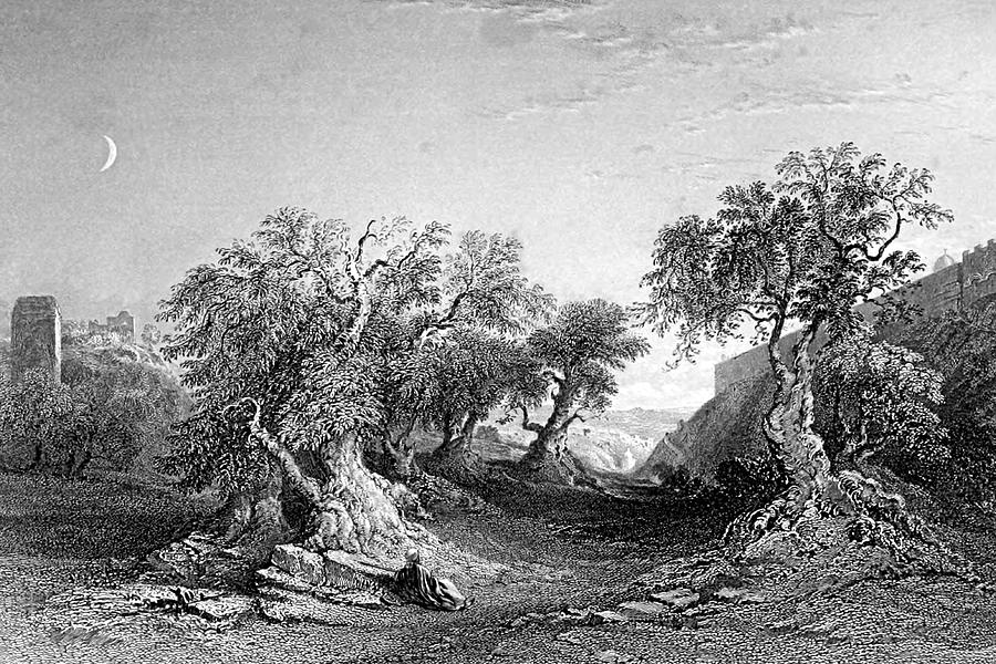The Garden of Gethsemane in Jerusalem 1847 Photograph by Munir Alawi