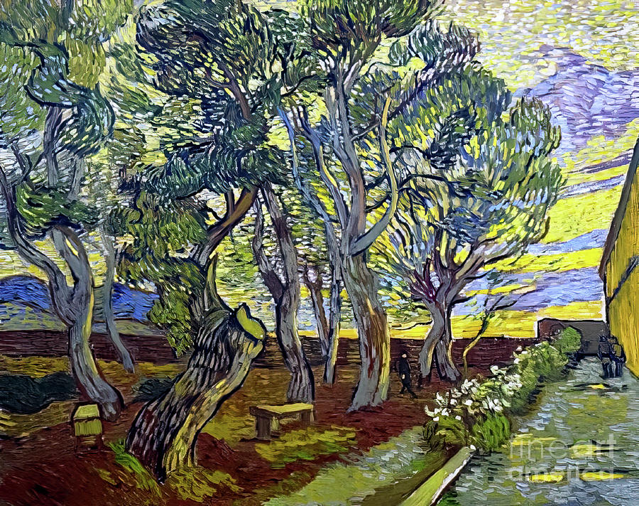 The Garden Of The Asylum By Vincent Van Gogh 1889 Painting By Vincent Van Gogh Fine Art America