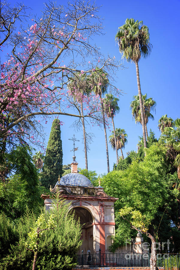The gardens of the Alcazar in Seville Photograph by Delphimages Photo Creations