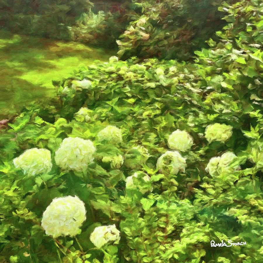 The Gardens White Flowers Painting by Pamela Storch