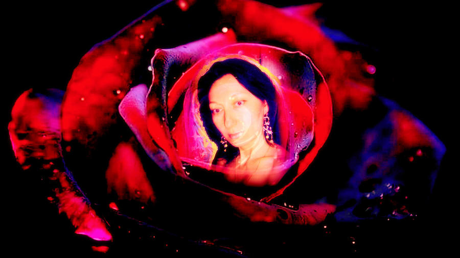 The Gardner and His Rose Digital Art by Nadia Birru
