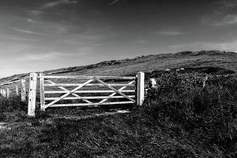 The Gate Black And White Photograph by Tanya C Smith