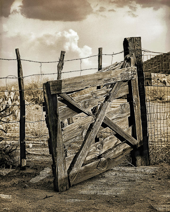 The Gate Photograph by Don Schimmel
