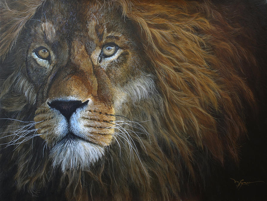 The Gaze - African Lion Painting by Mitch Lyman - Fine Art America