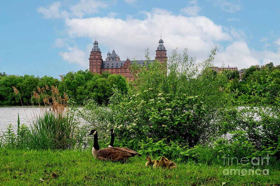 Architecture Photograph - The geese and a castle by Claudia Evans