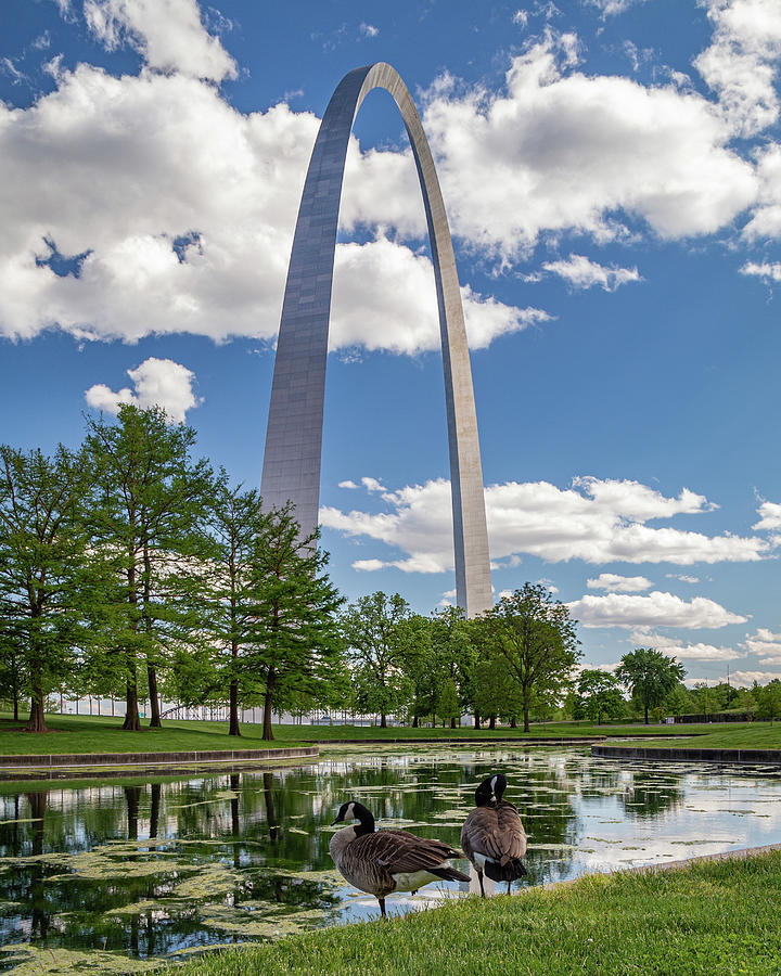 The Geese at the Arch Photograph by Joe Kopp