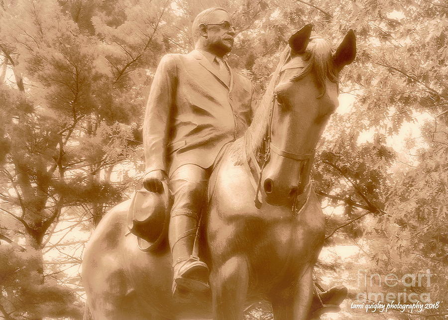 The General And His Steed Photograph