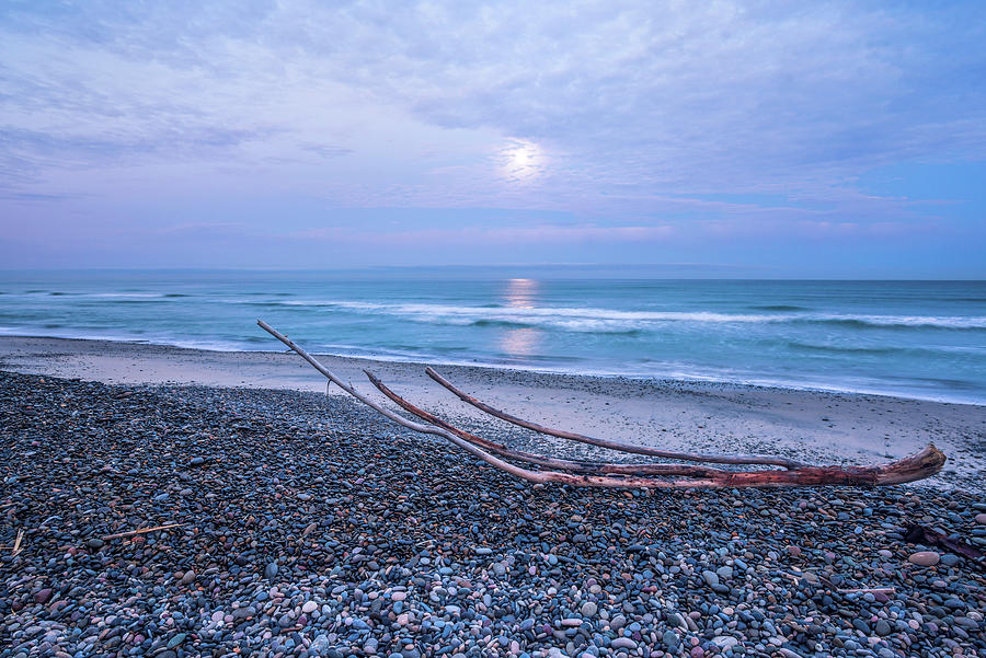 The Gentle Curve Of Driftwood Photograph by Joseph S Giacalone