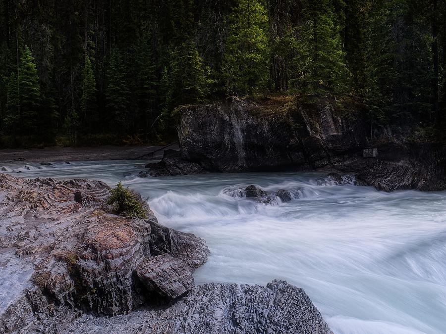 The Gentle Kicking Horse River Photograph by Allan Van Gasbeck
