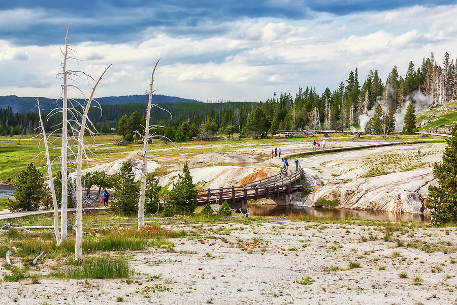 The geyser basin in Yellowstone National Park Mixed Media by Tatiana Travelways