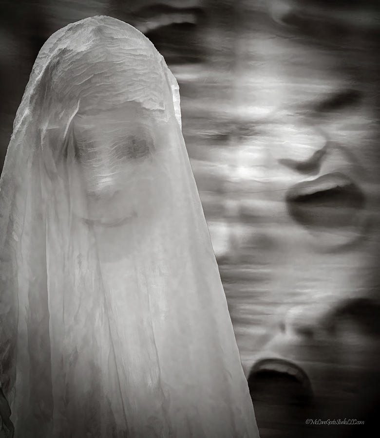 The Ghosts Photograph