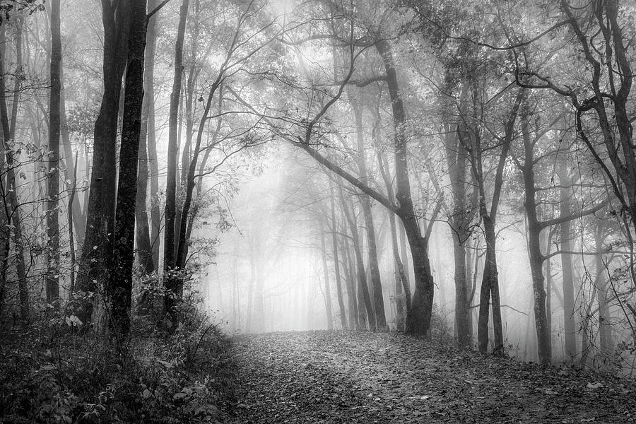 The Ghosts of Autumn Black and White Photograph by Debra and Dave Vanderlaan