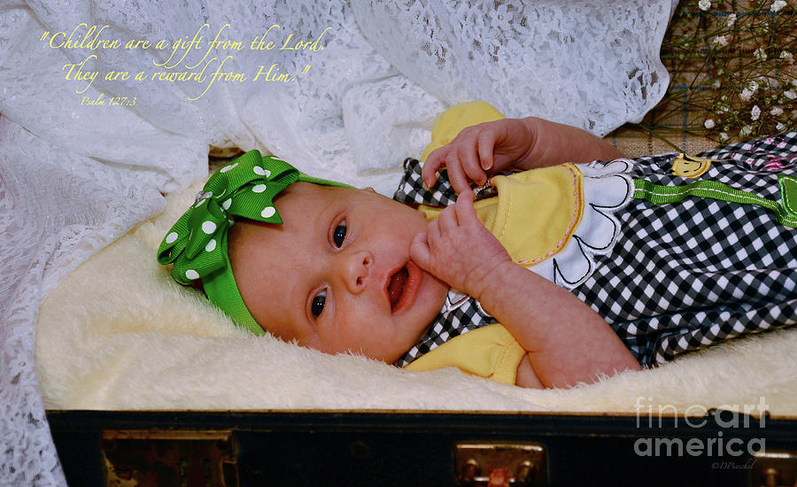The Gift Photograph