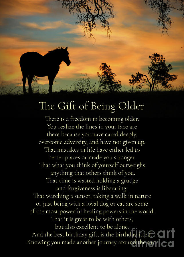 Nature Photograph - The Gift Of Being Older Spiritual Wise Words Horse and Nature Birthday by Stephanie Laird