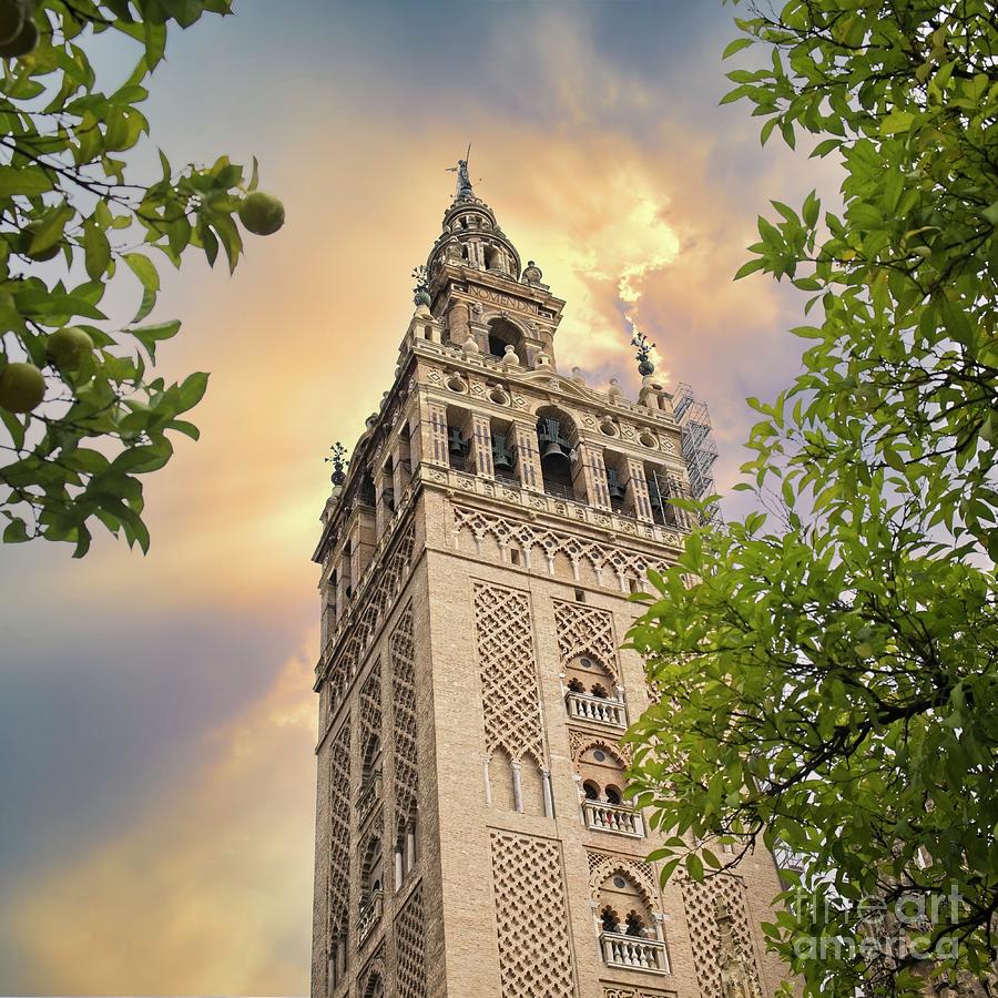 The Giralda Bell Tower of Seville Cathedral, Spain Photograph by Philip Preston