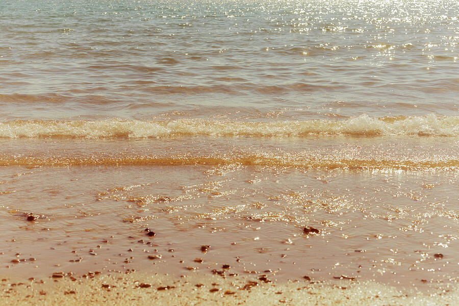 The Glistening Seashore Photograph by Tanya C Smith