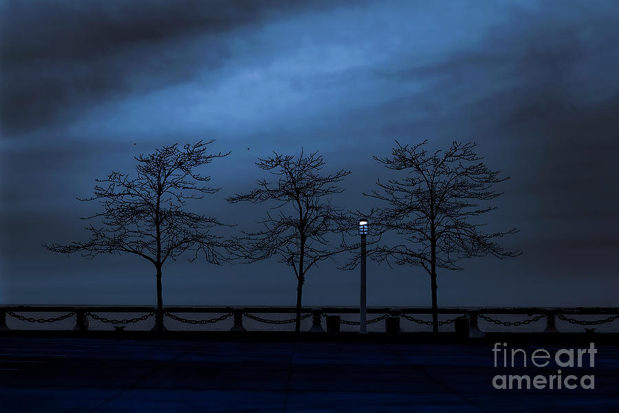 The Gloaming Voinivich Park Cleveland Photograph