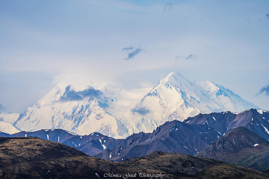 The Glory of Denali Photograph by Monica Guidi - Fine Art America