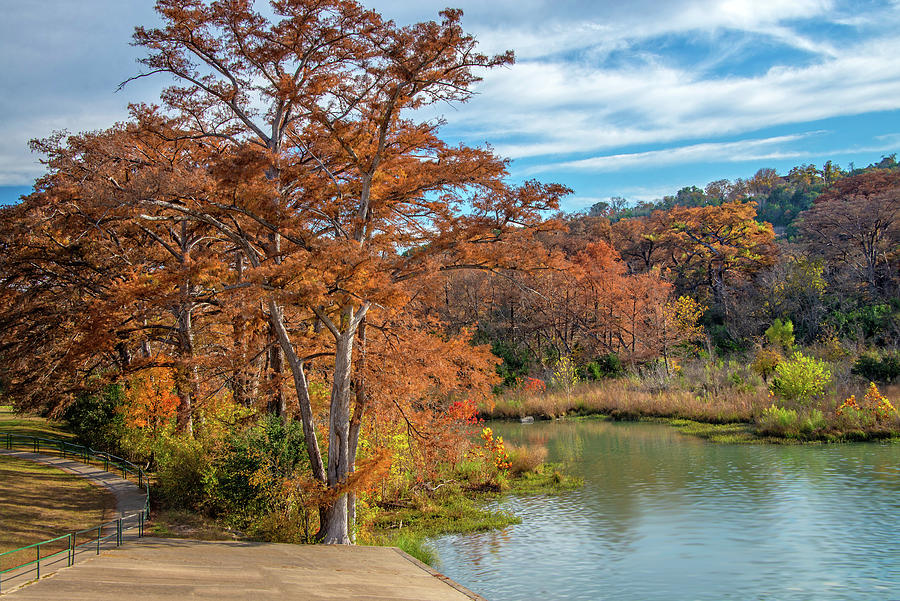 The Glory of Fall on the Guadalupe Photograph by Lynn Bauer