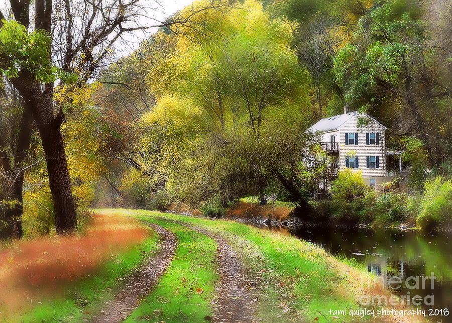 The Gold In Autumns Pocket Photograph by Tami Quigley
