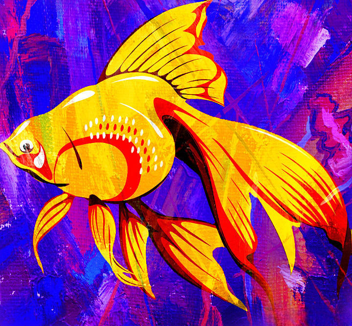 The Golden Fish Digital Art