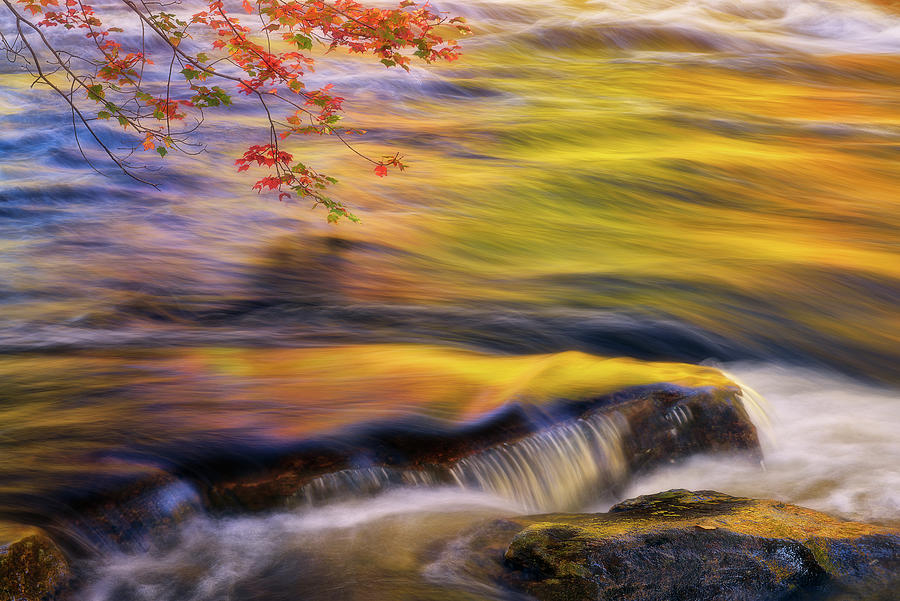 The Golden Flow Photograph by Henry w Liu