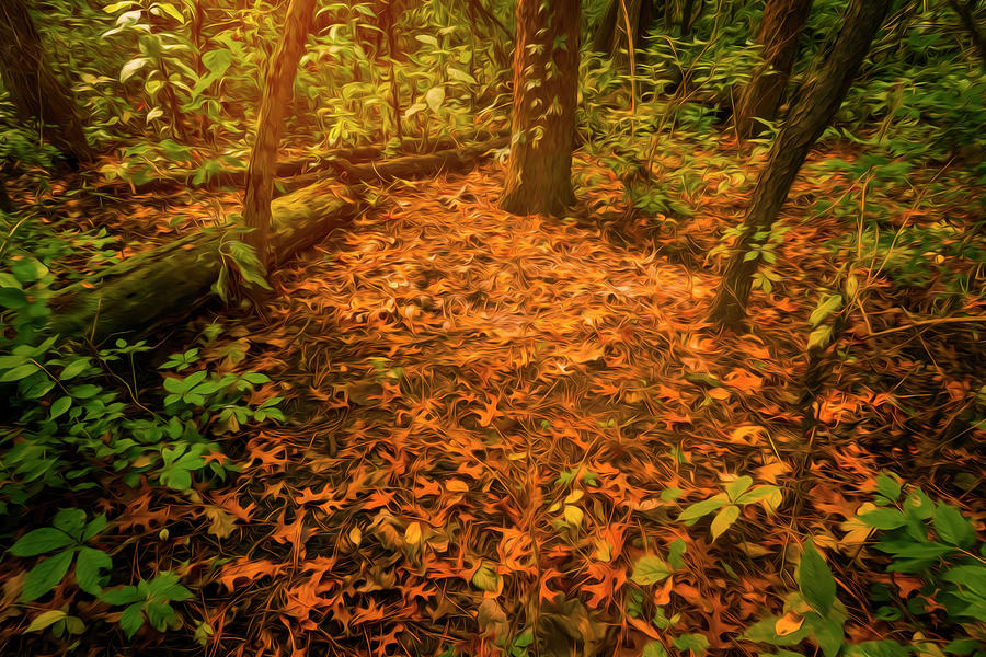 The Golden Forest Floor Photograph by Sandra Js