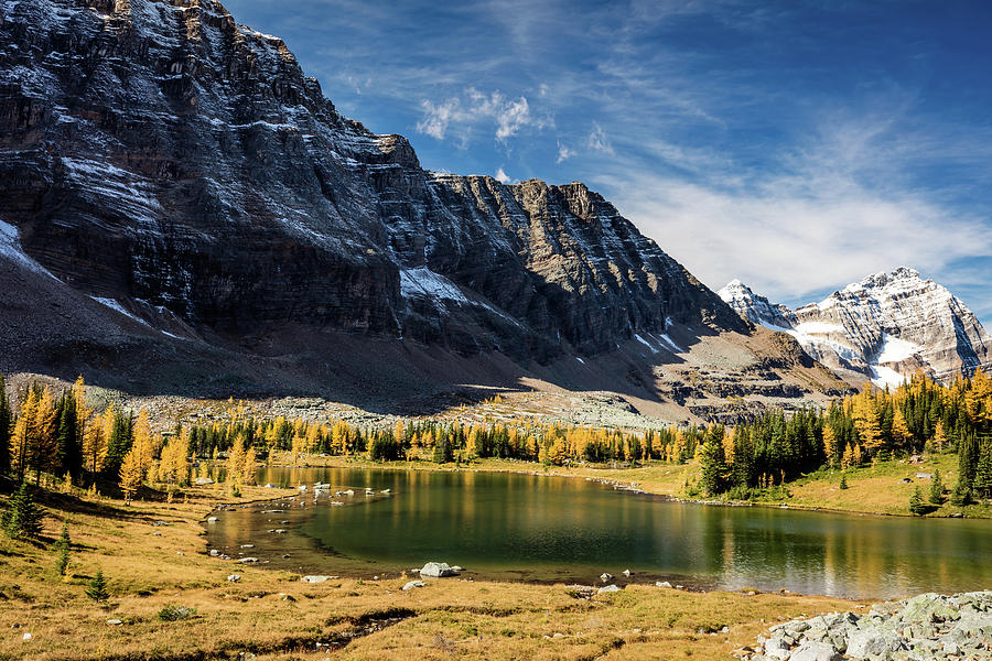 The Golden Larch Trees of Hungabee Lake Photograph by Pierre Leclerc ...