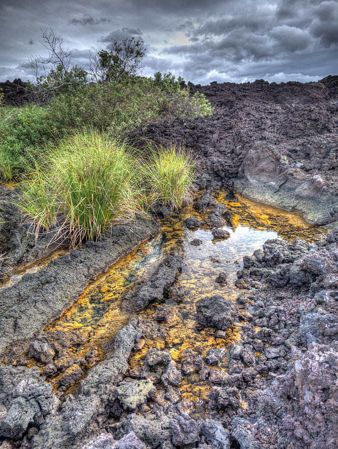 The Golden Pools of Keawaiki Photograph by Howard Goldbaum