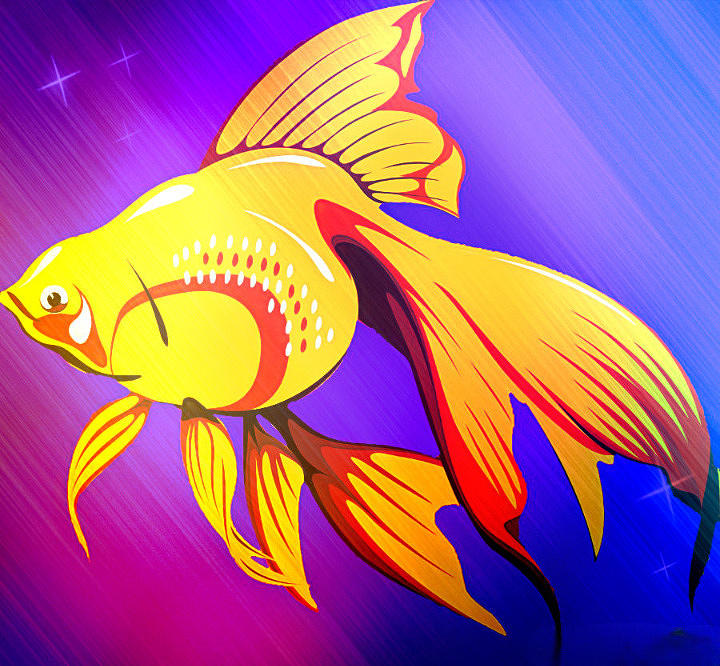 The Goldfish Digital Art