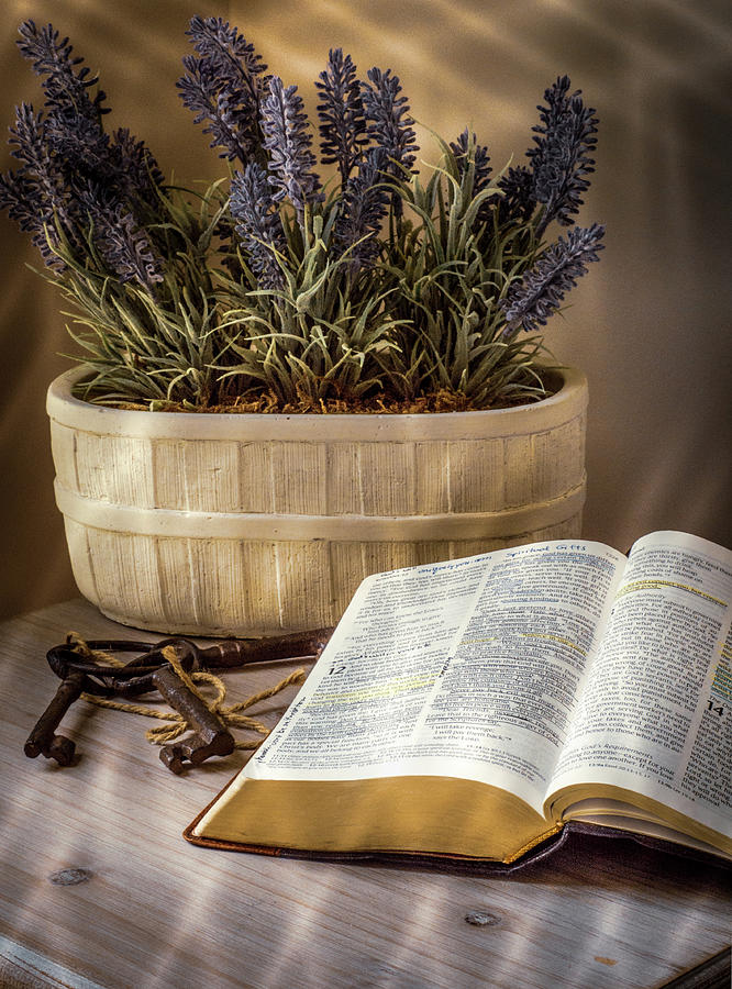 The Good Book Photograph by Debbie Karnes