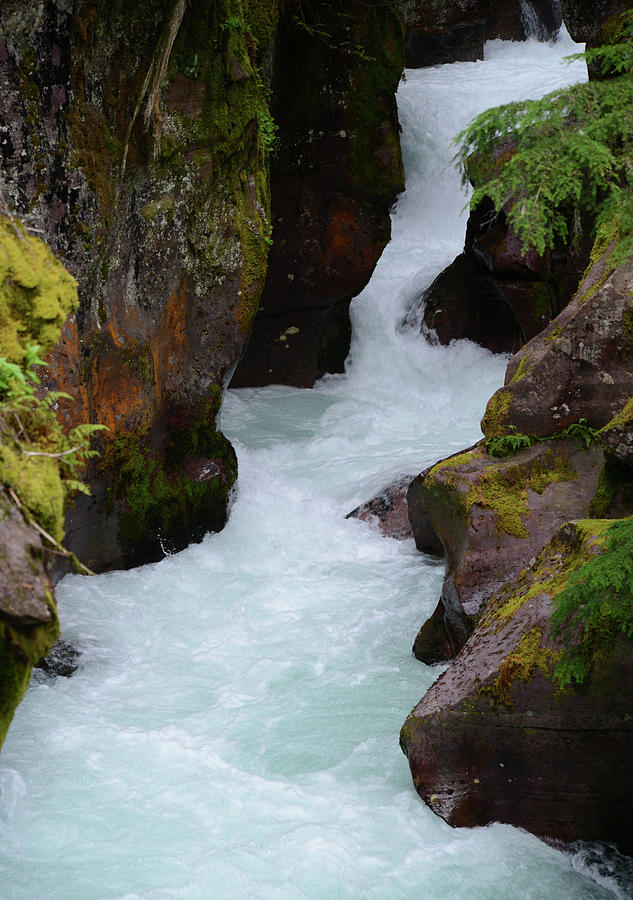 The Gorge At Avalanche Creek 4 Photograph by Whispering Peaks ...